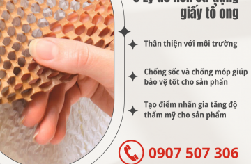 Tại sao nên lựa chọn giấy gói và túi giấy của Thanh Lưu ?