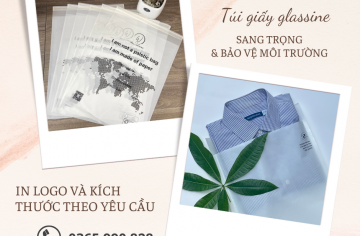 Túi giấy glassine giải pháp thân thiện môi trường thay thế túi nilon