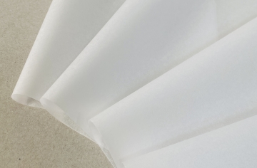 Khám phá Giấy Poluya - Tương lai của giấy bền vững